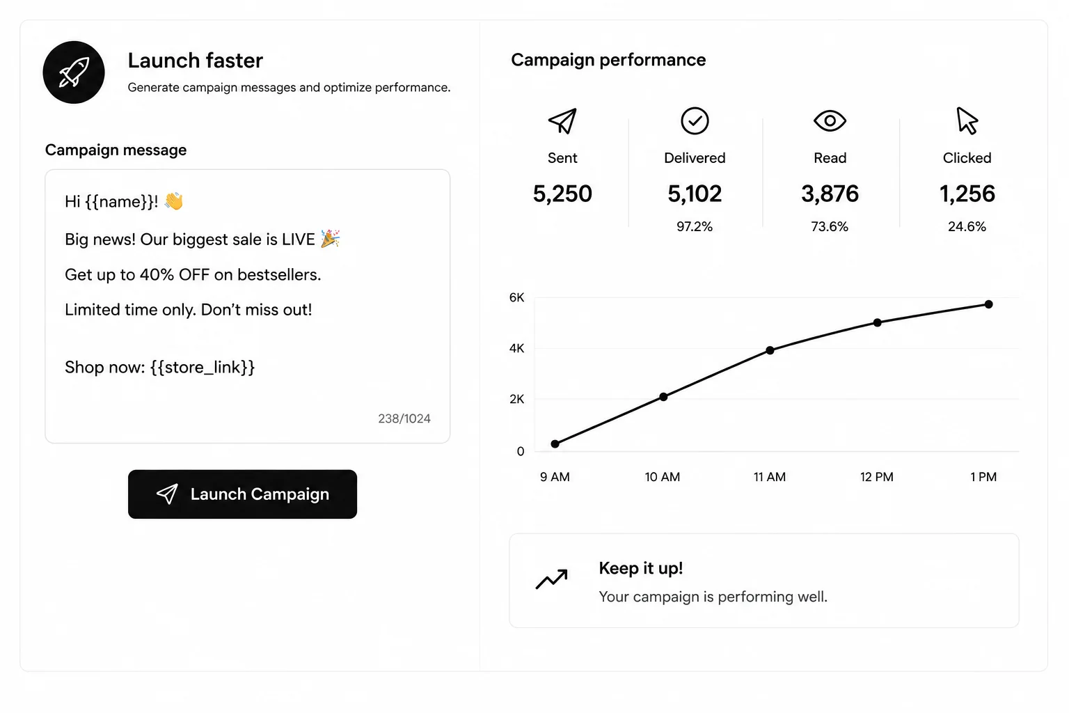 Campaign launch and optimization interface